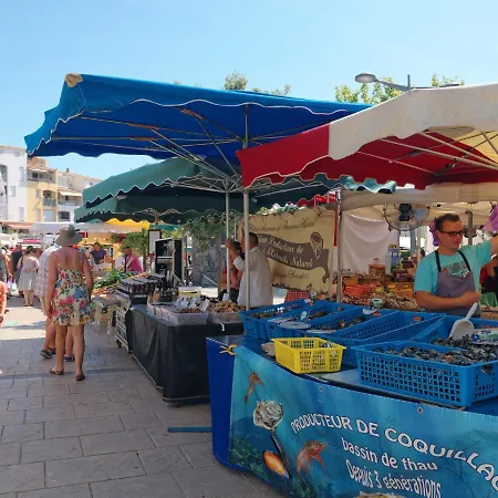 Le Sunset-cap Sud-16 By Interhome Apartment *