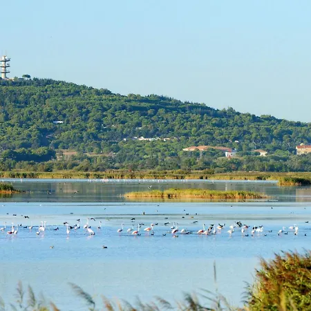 Apartment Le Sunset-cap Sud-16 By Interhome *